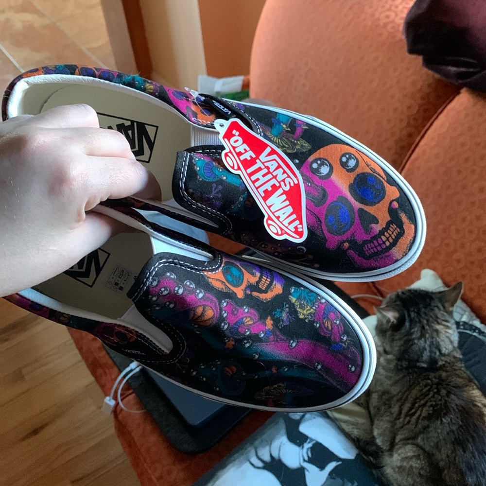 Vans Slip Ons Skull Print
